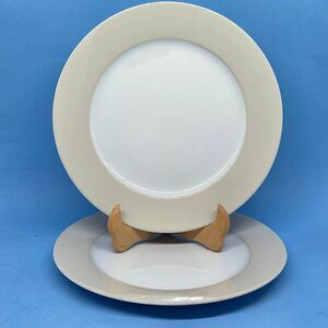 Ikea 365+ Susan Pryke Beige Rim 10.5" Dinner Plates Set of 2